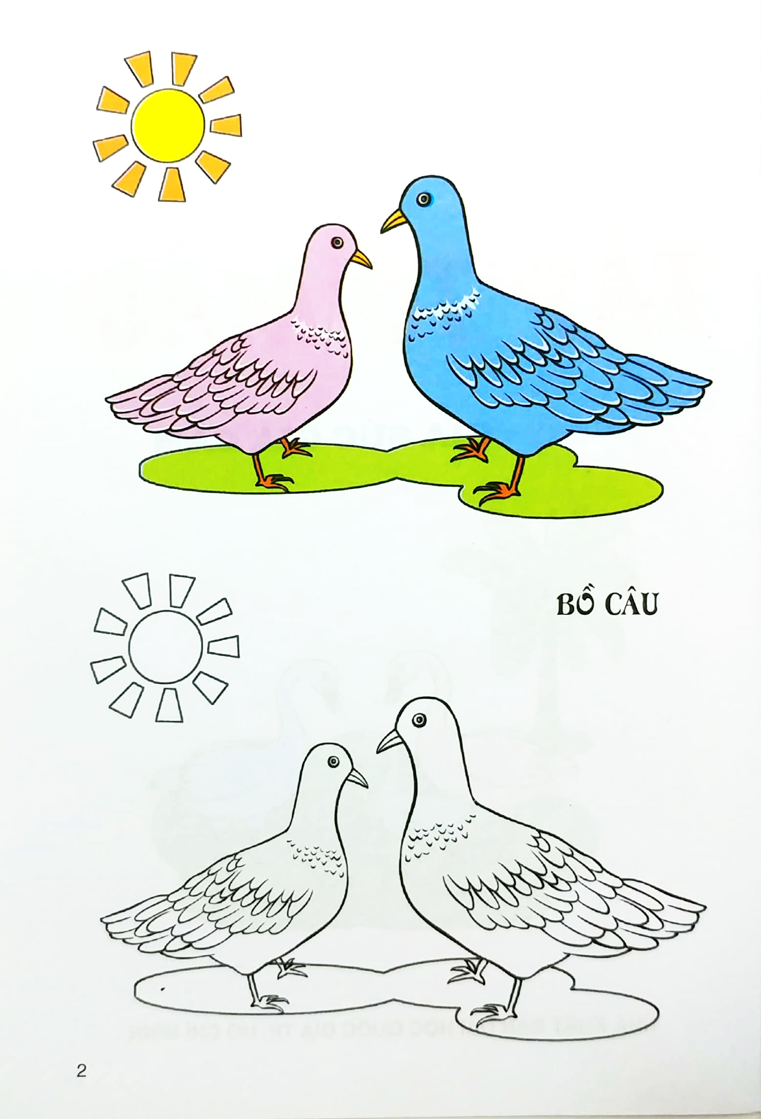 tập tô màu - gia súc gia cầm - Ảnh 3