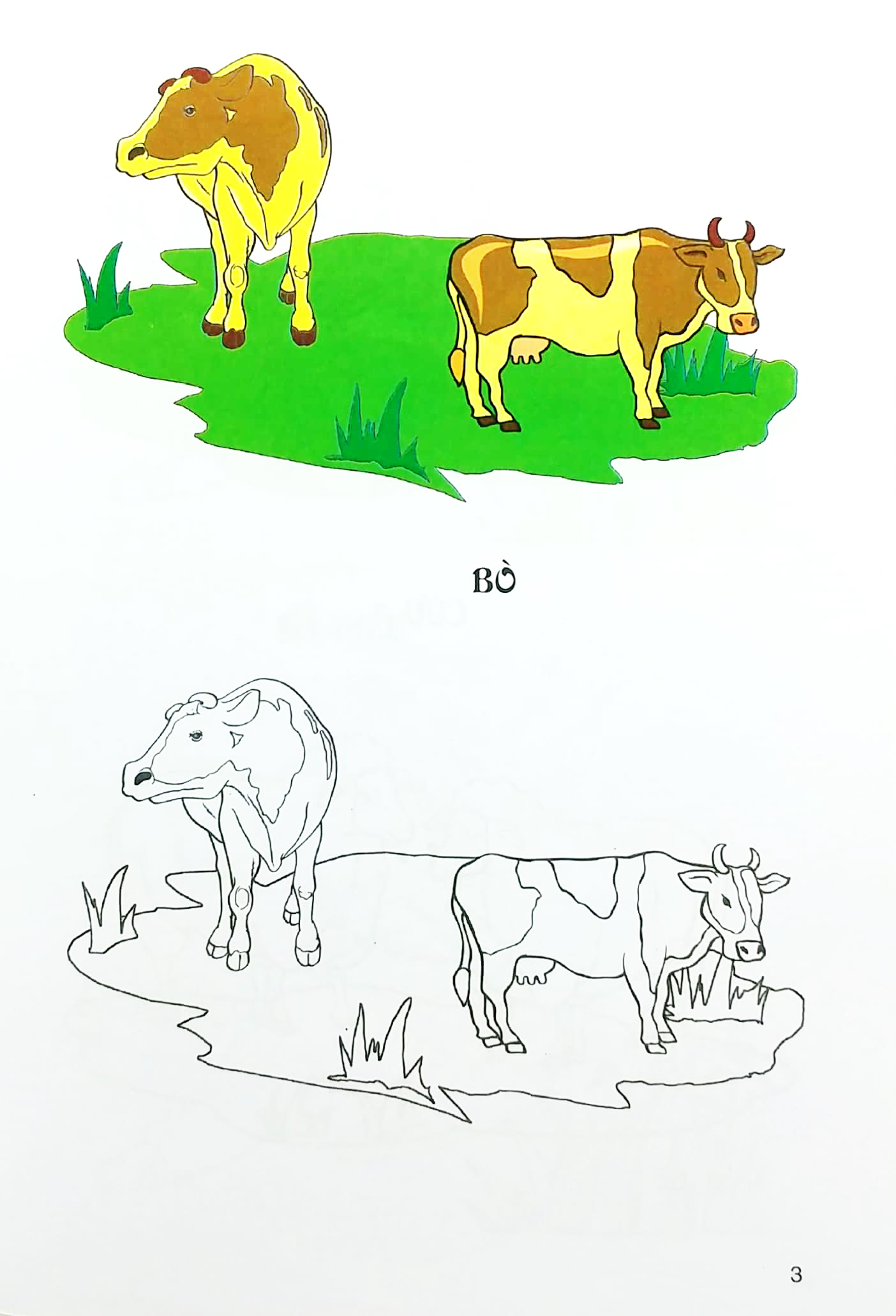 tập tô màu - gia súc gia cầm - Ảnh 4