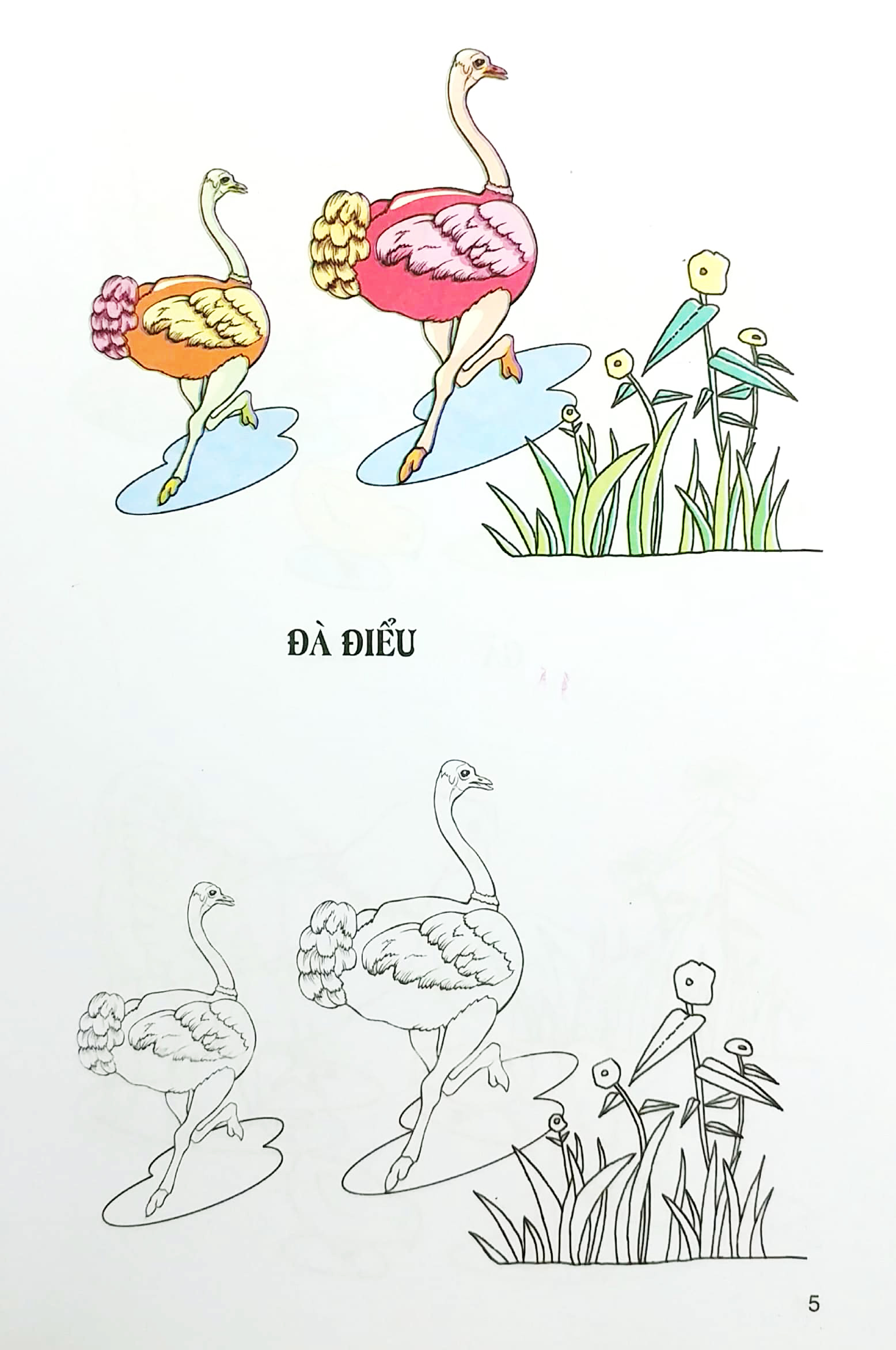 tập tô màu - gia súc gia cầm - Ảnh 6