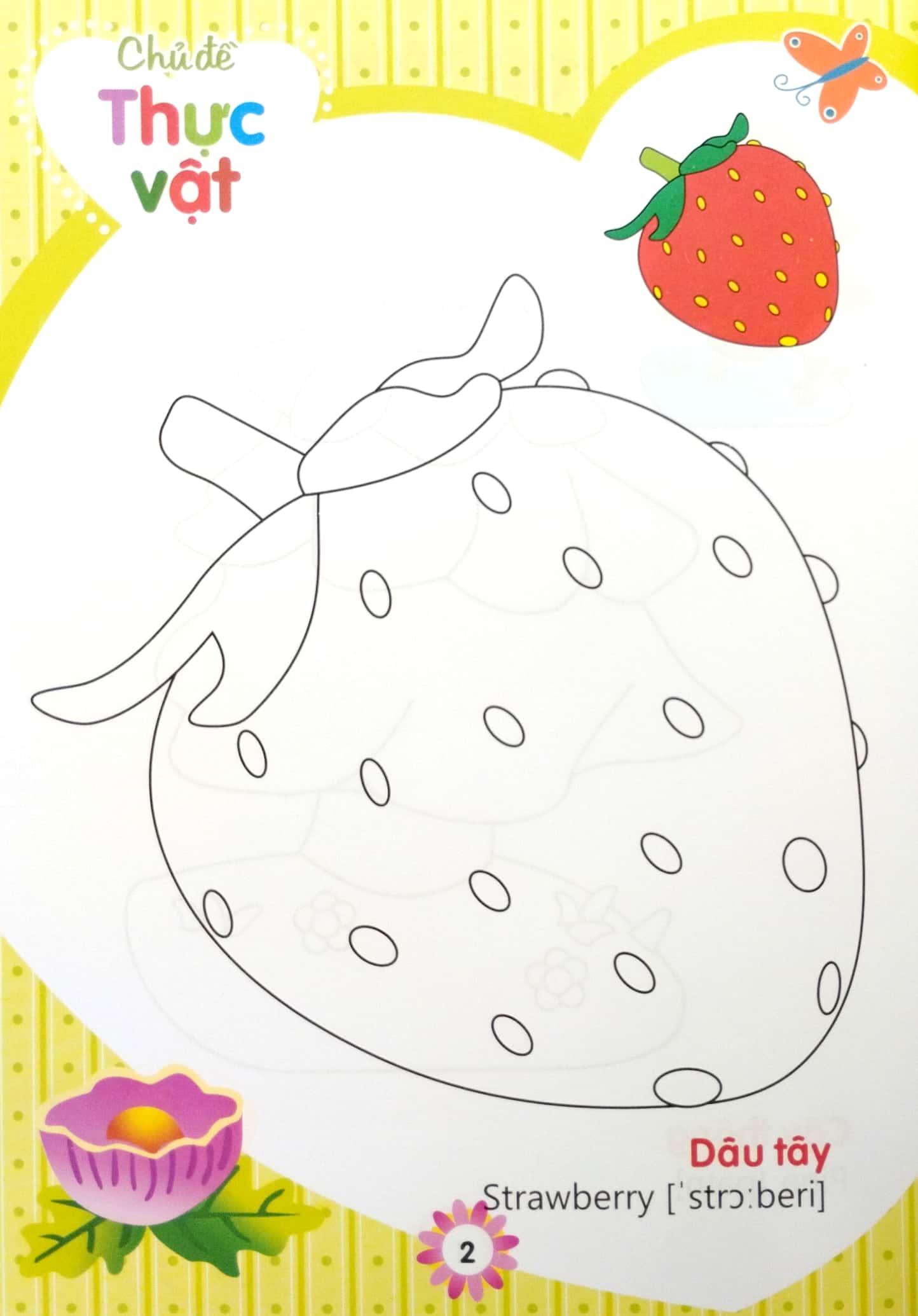 tập tô màu nhà trẻ - thực vật (2022) - Ảnh 4