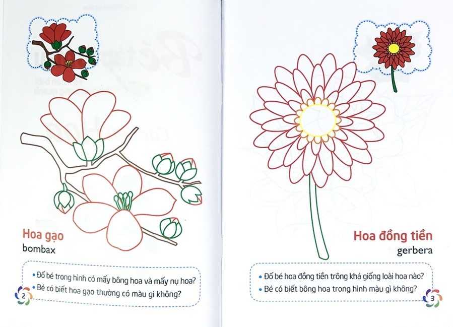 tập tô màu và nhận biết thế giới xung quanh - các loại hoa - Ảnh 3