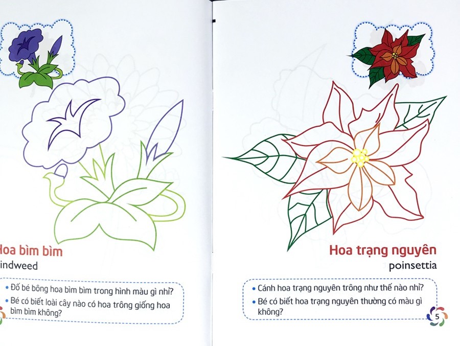 tập tô màu và nhận biết thế giới xung quanh - các loại hoa - Ảnh 4