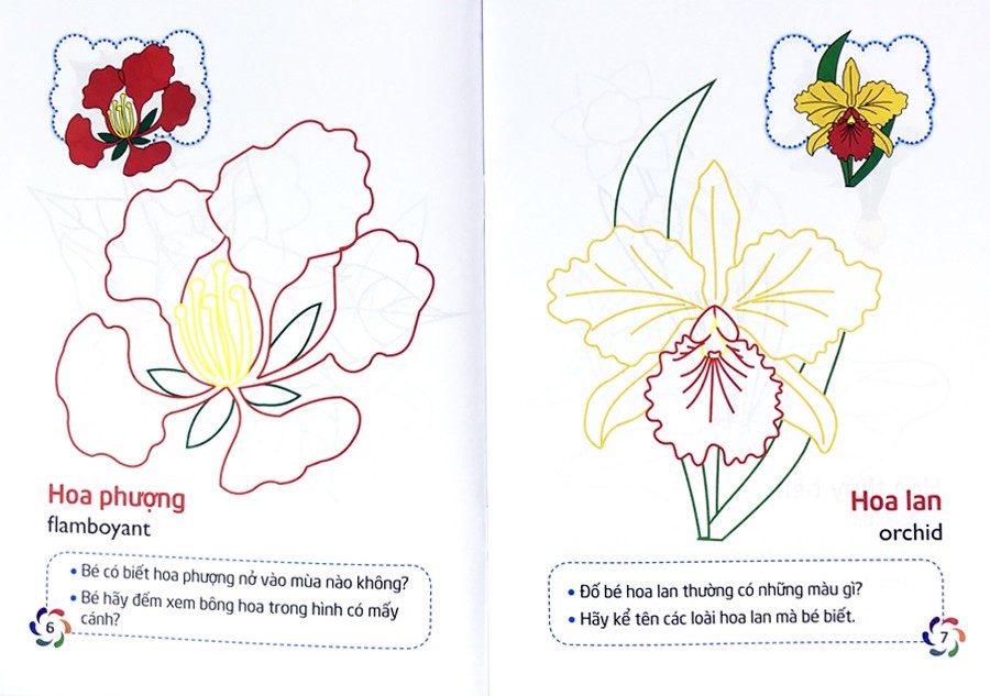 tập tô màu và nhận biết thế giới xung quanh - các loại hoa - Ảnh 5