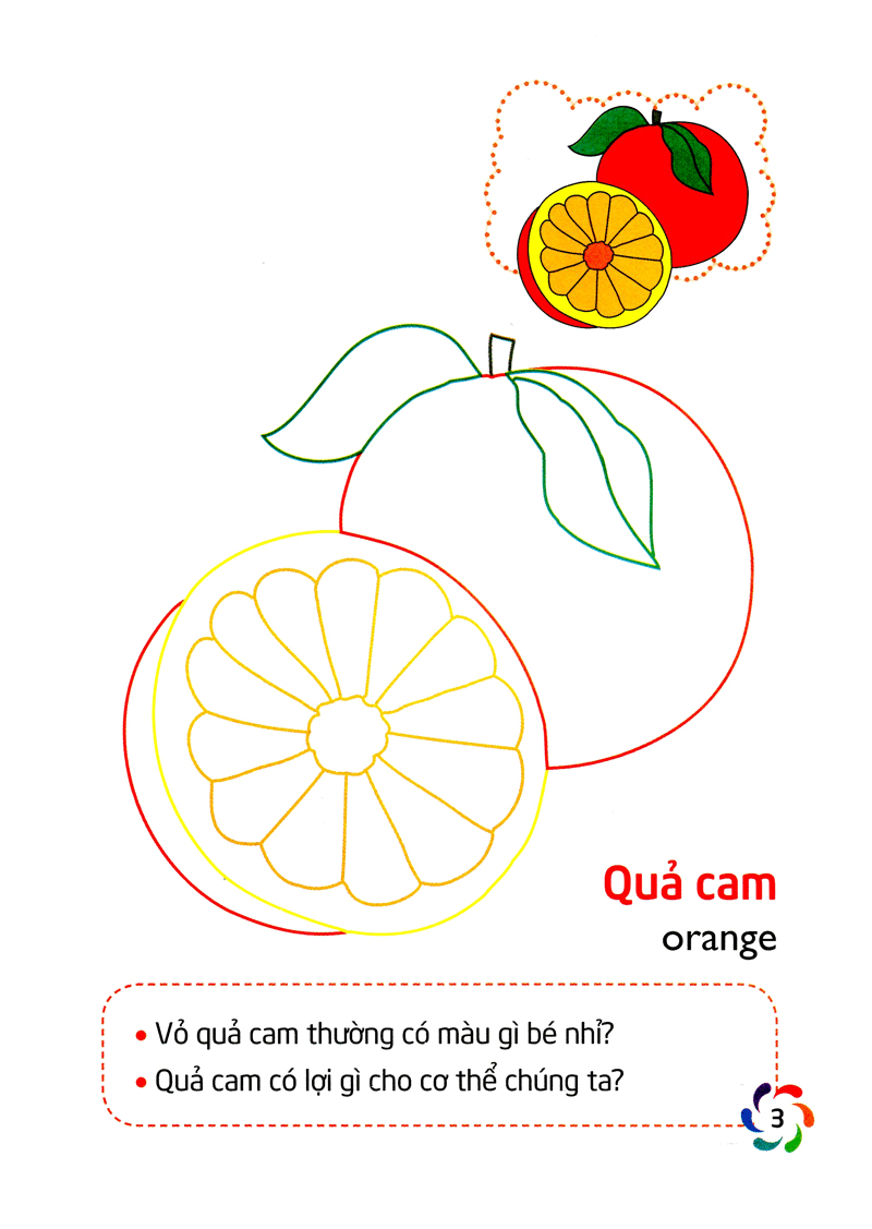 tập tô màu và nhận biết thế giới xung quanh - các loại quả - Ảnh 4