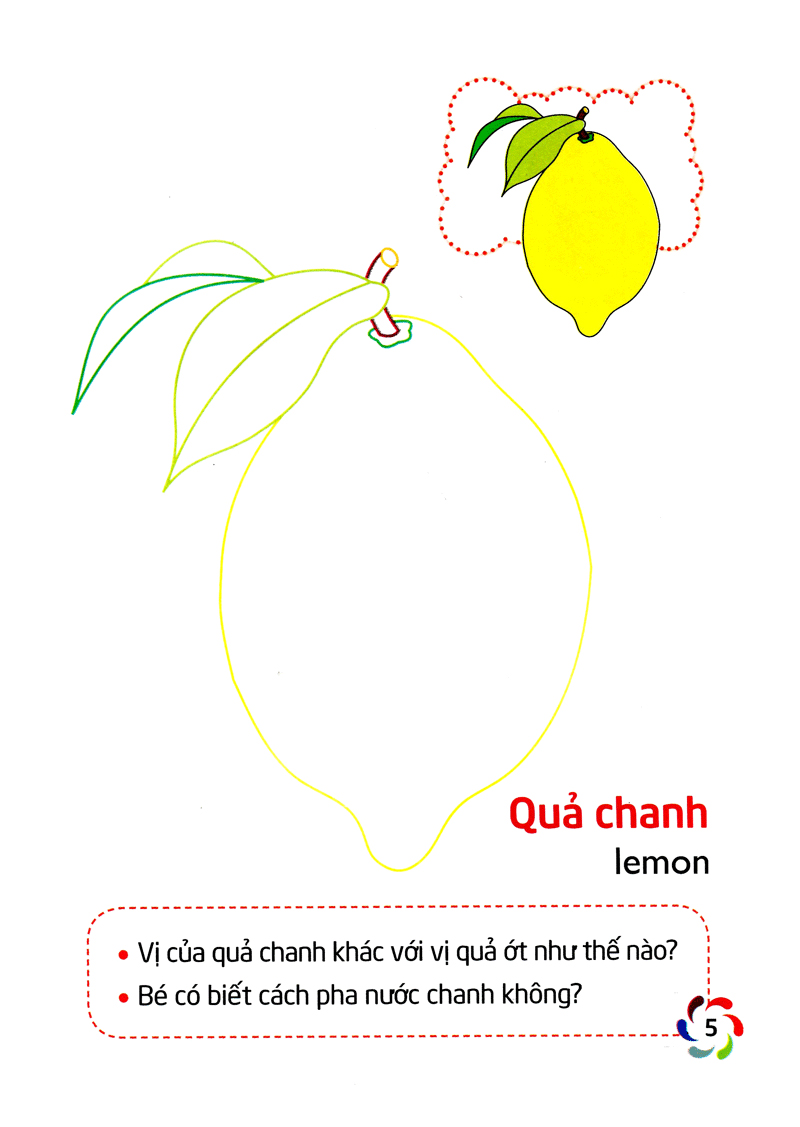 tập tô màu và nhận biết thế giới xung quanh - các loại quả - Ảnh 6