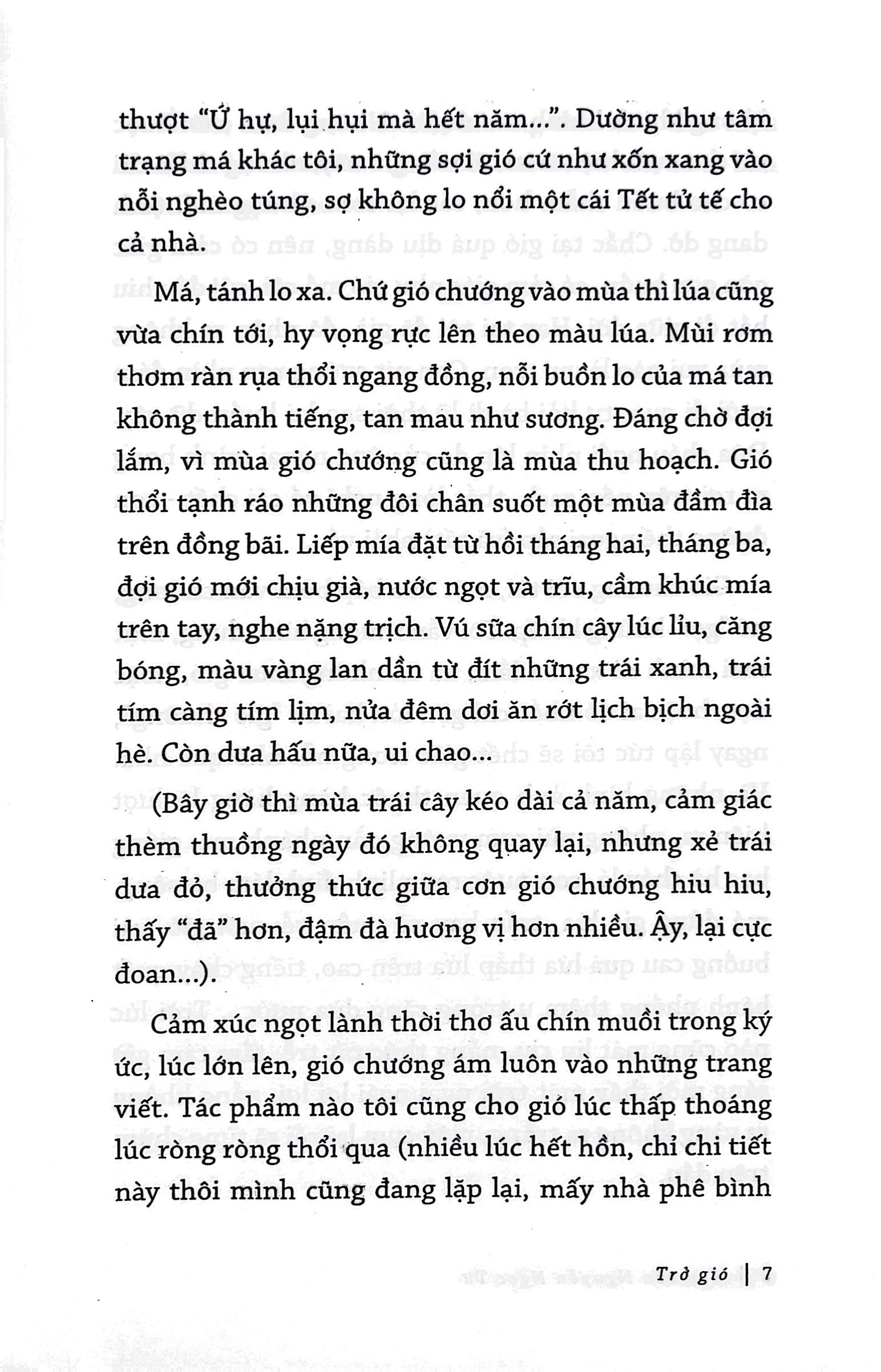 tạp văn nguyễn ngọc tư (tái bản 2020) - Ảnh 5