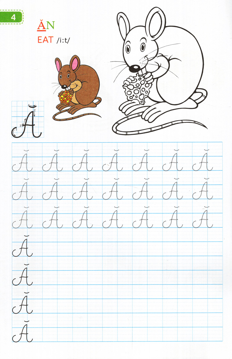 tập viết chữ đẹp & tô màu - kiểu chữ hoa (khổ nhỏ) - Ảnh 4