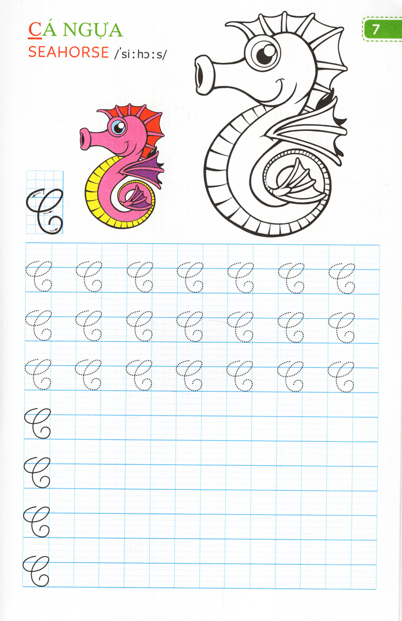 tập viết chữ đẹp & tô màu - kiểu chữ hoa (khổ nhỏ) - Ảnh 7