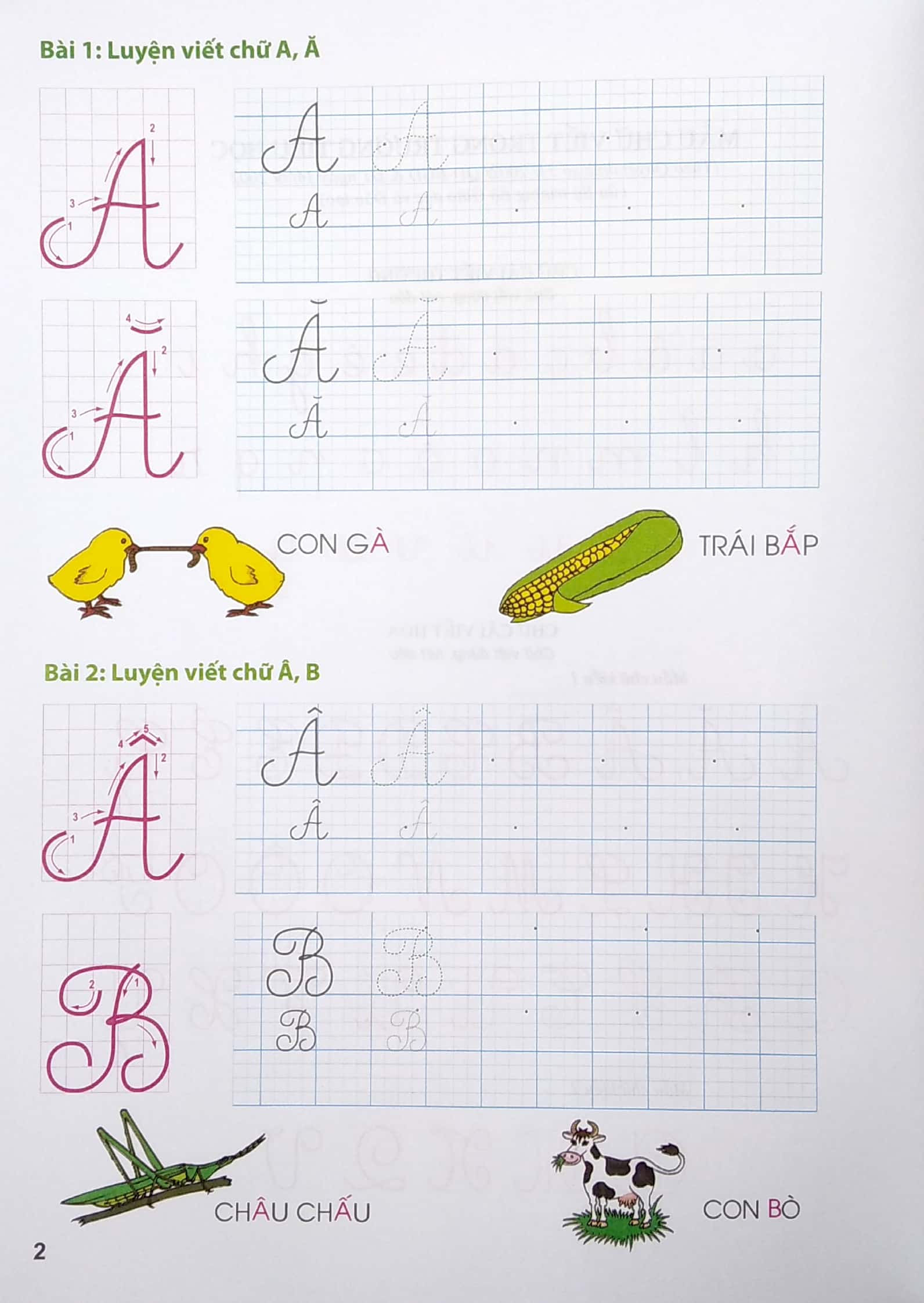 tập viết chữ hoa lớp 1 - Ảnh 3