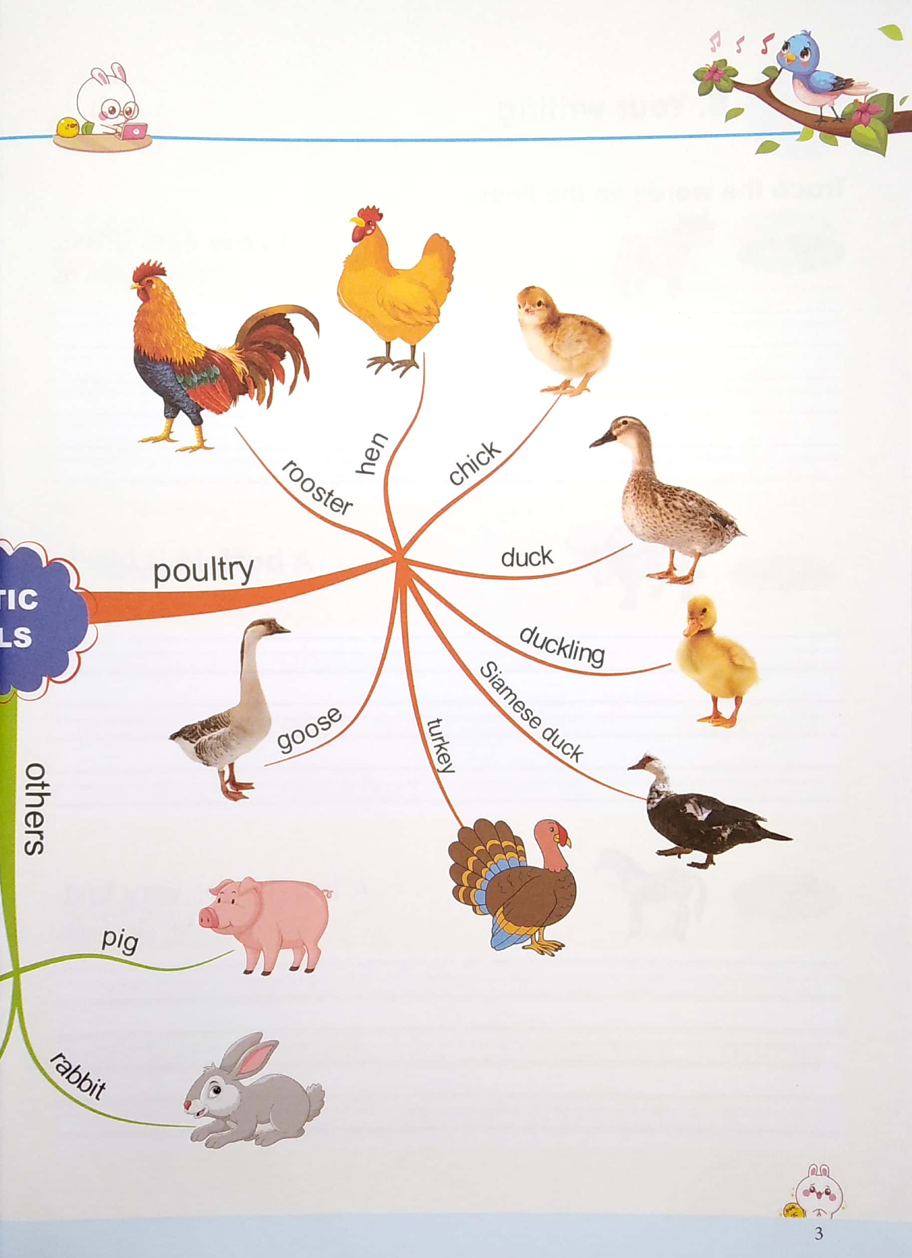 tập viết tiếng anh cho trẻ - động vật - Ảnh 4