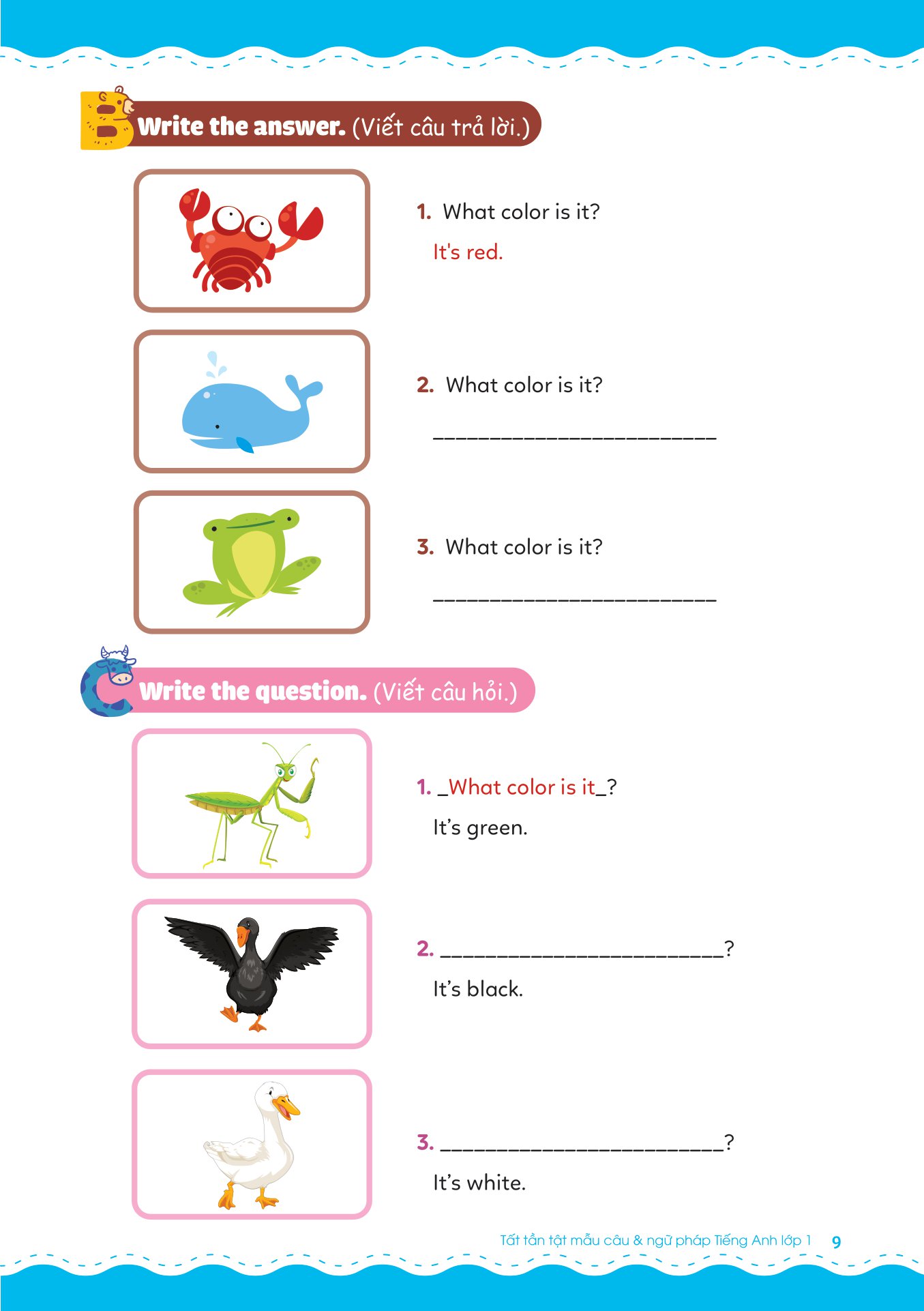 tất tần tật mẫu câu và ngữ pháp tiếng anh lớp 1 - Ảnh 7