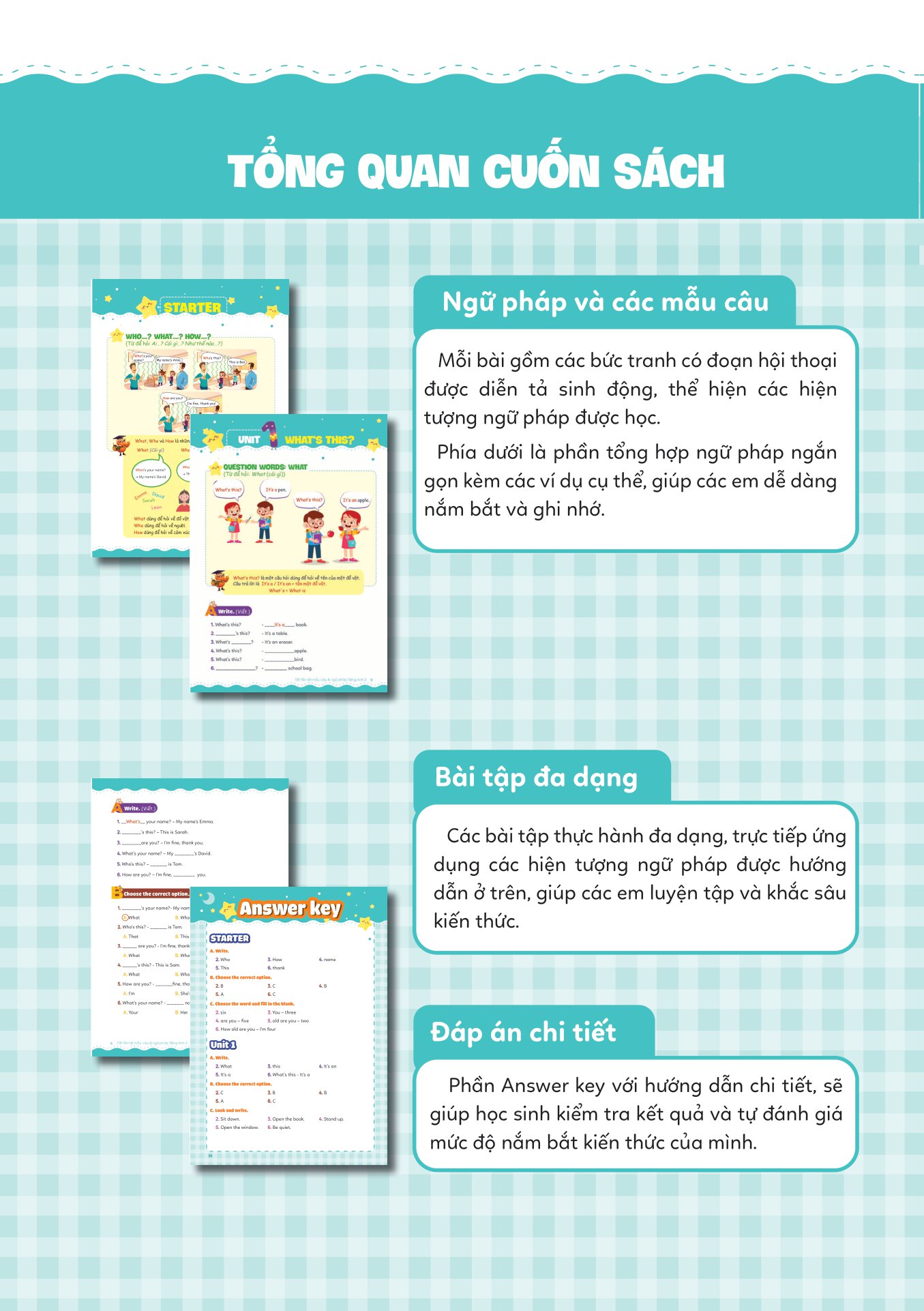 tất tần tật mẫu câu và ngữ pháp tiếng anh lớp 2 - Ảnh 3