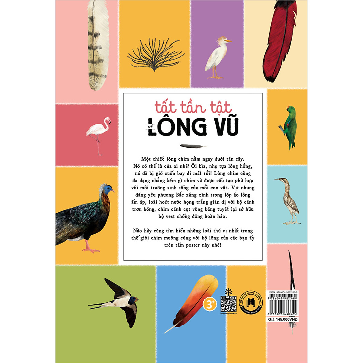 tất tần tật về lông vũ - Ảnh 3