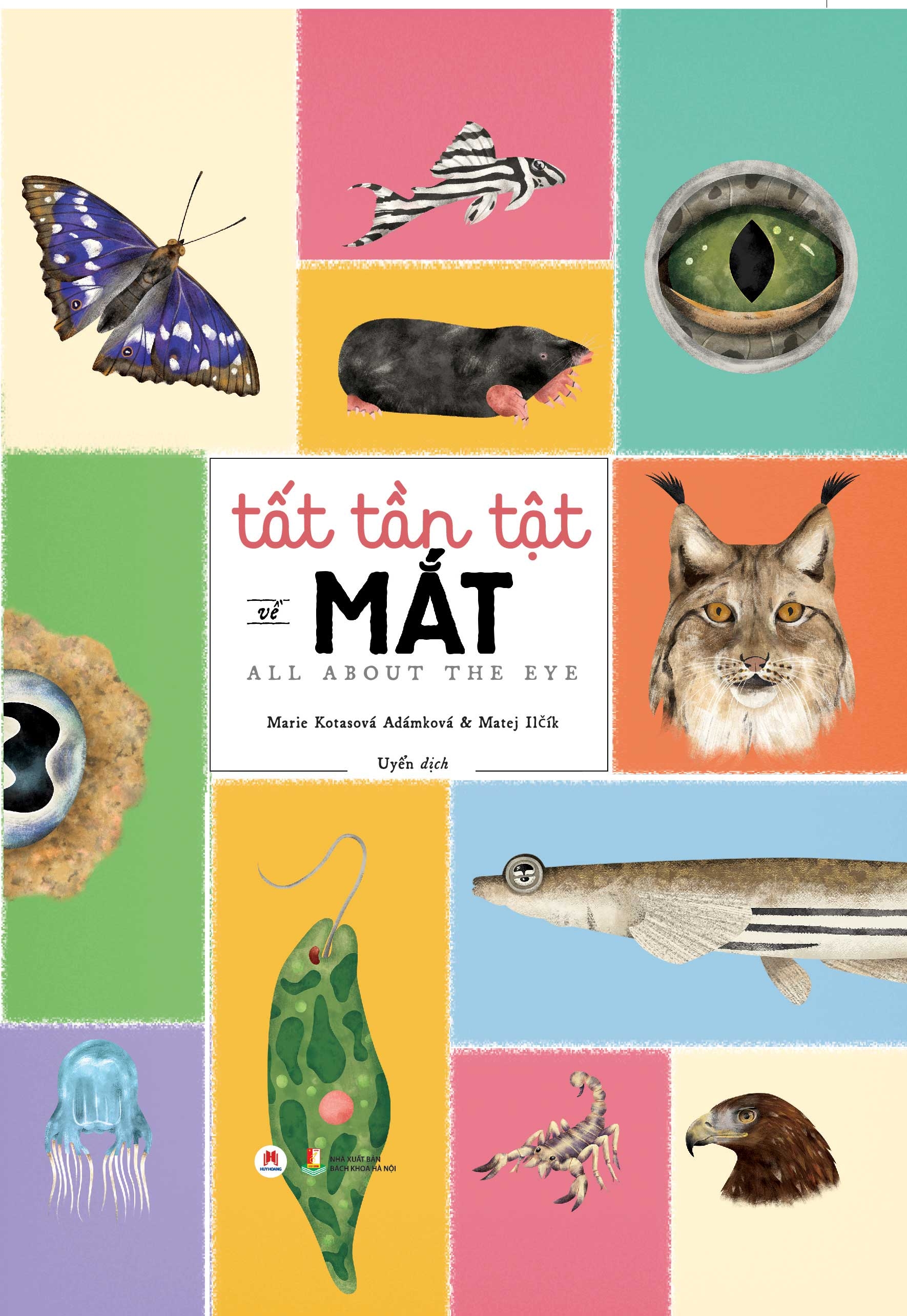 tất tần tật về mắt - all about the eye - Ảnh 2