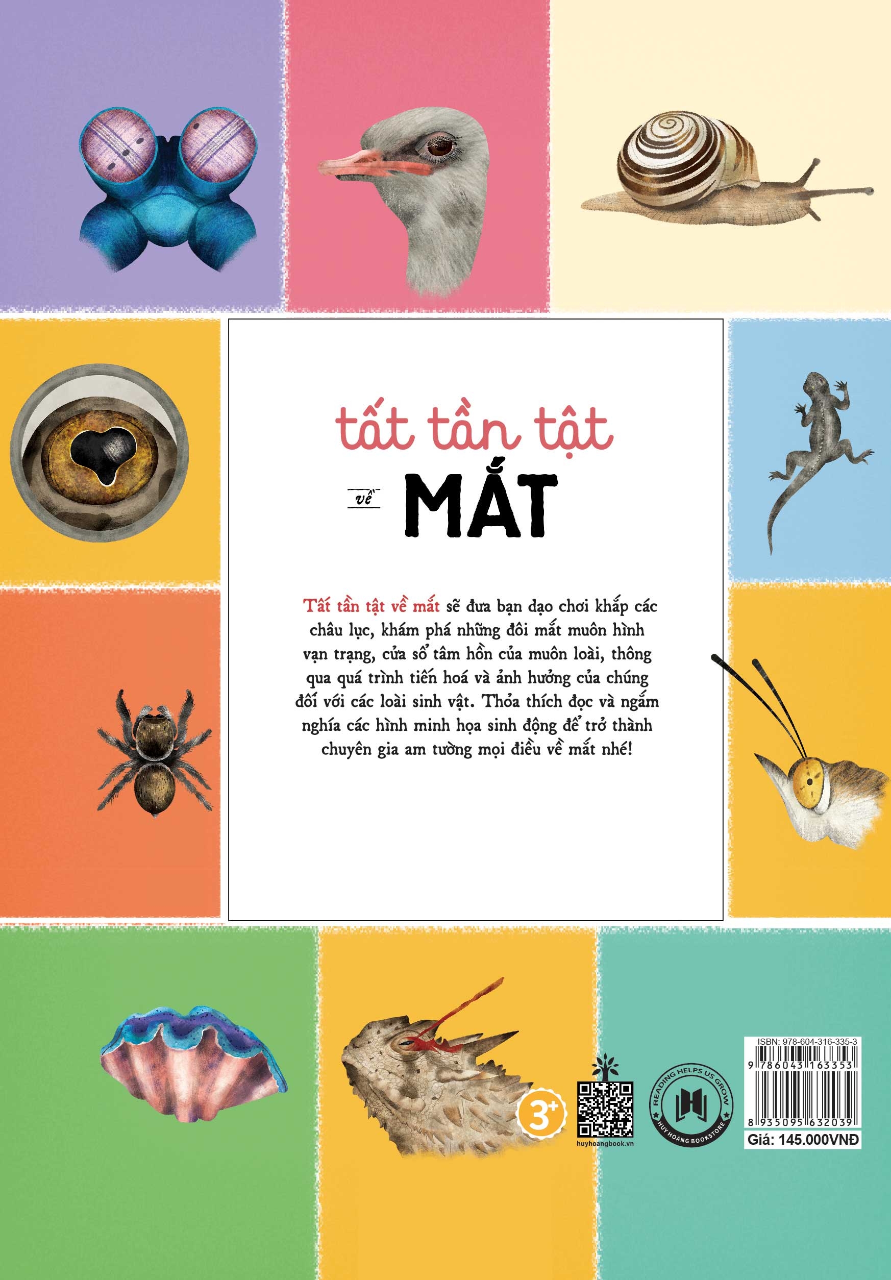 tất tần tật về mắt - all about the eye - Ảnh 3