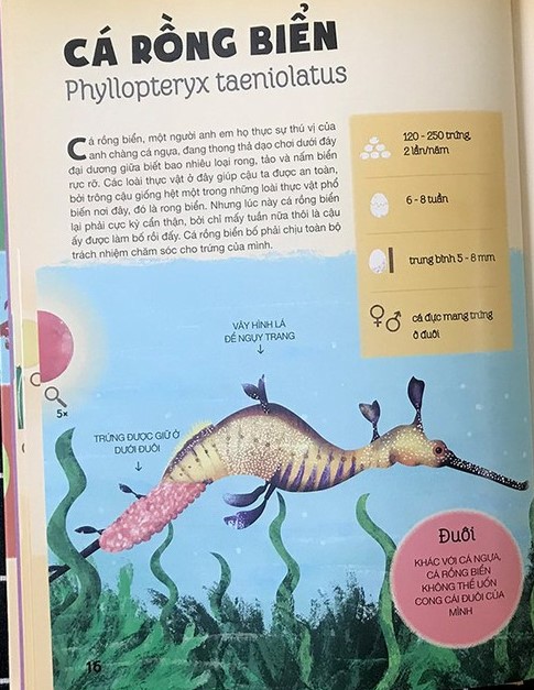 tất tần tật về trứng - Ảnh 3