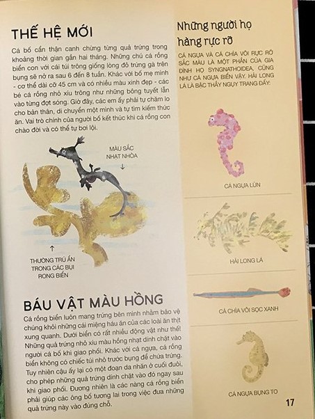 tất tần tật về trứng - Ảnh 4