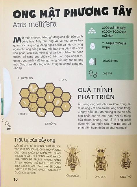 tất tần tật về trứng - Ảnh 5