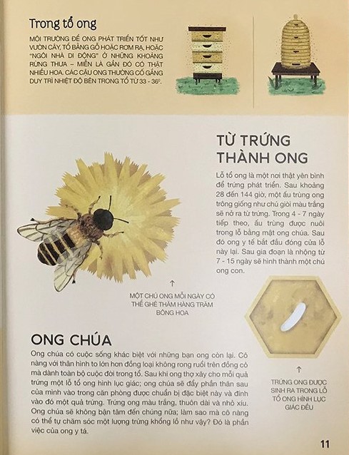 tất tần tật về trứng - Ảnh 6