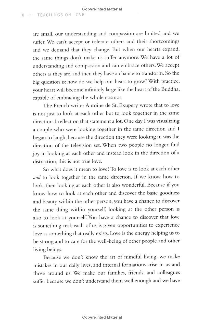 teachings on love - Ảnh 10