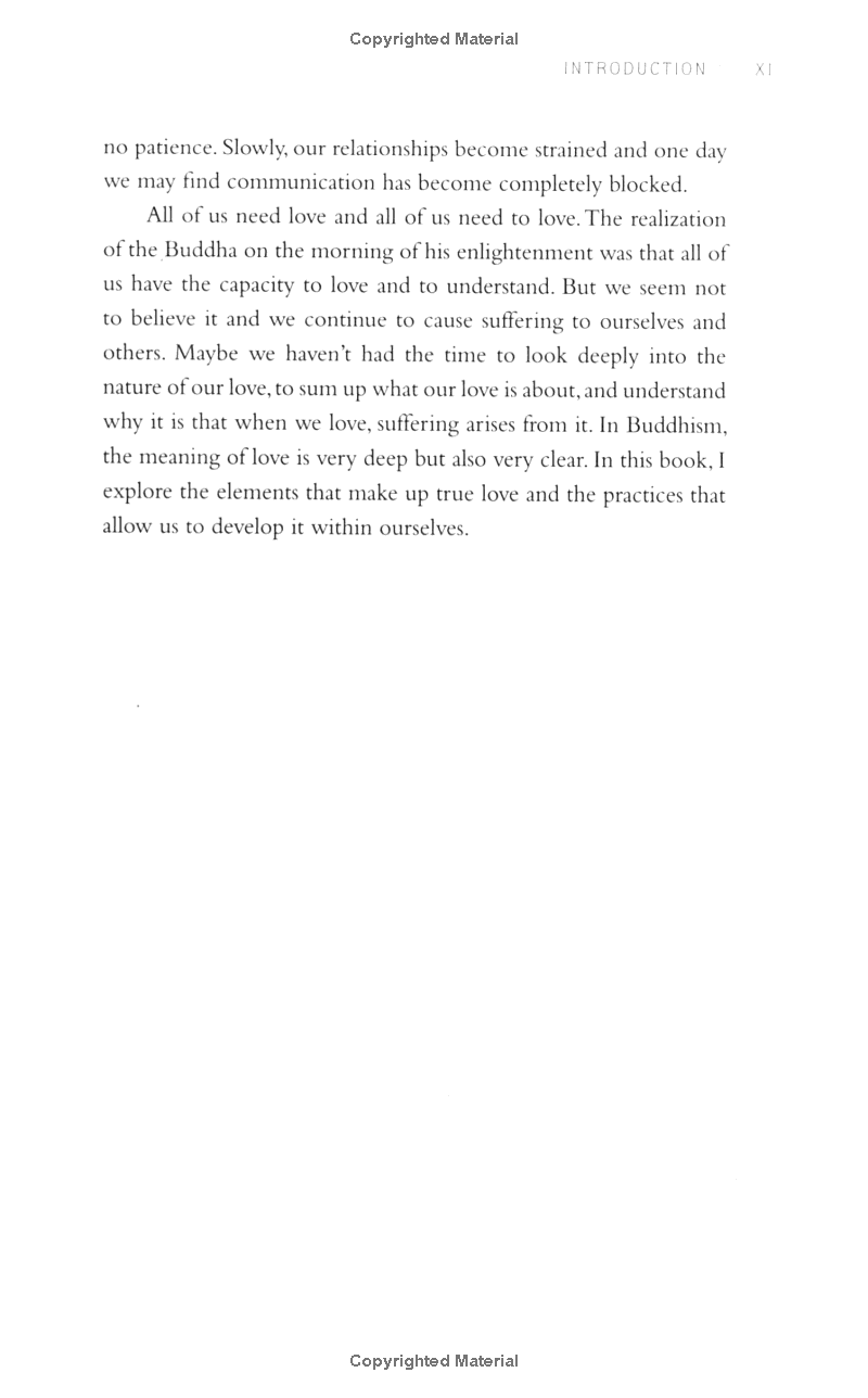 teachings on love - Ảnh 11