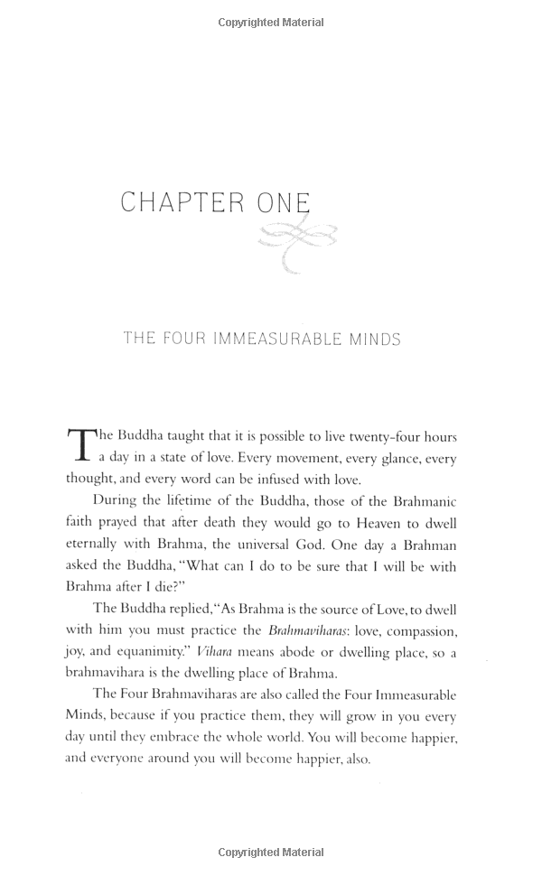 teachings on love - Ảnh 12