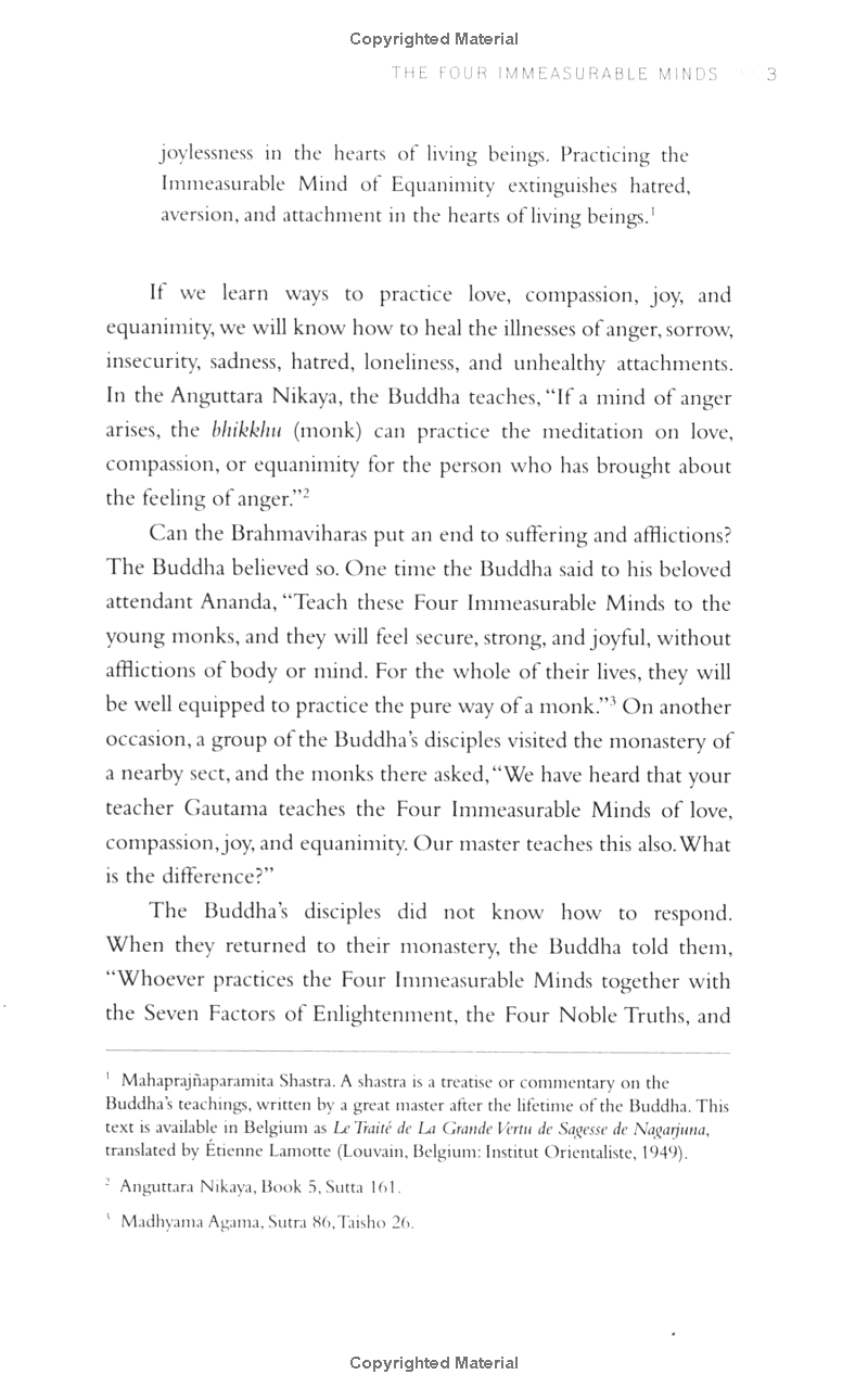 teachings on love - Ảnh 14