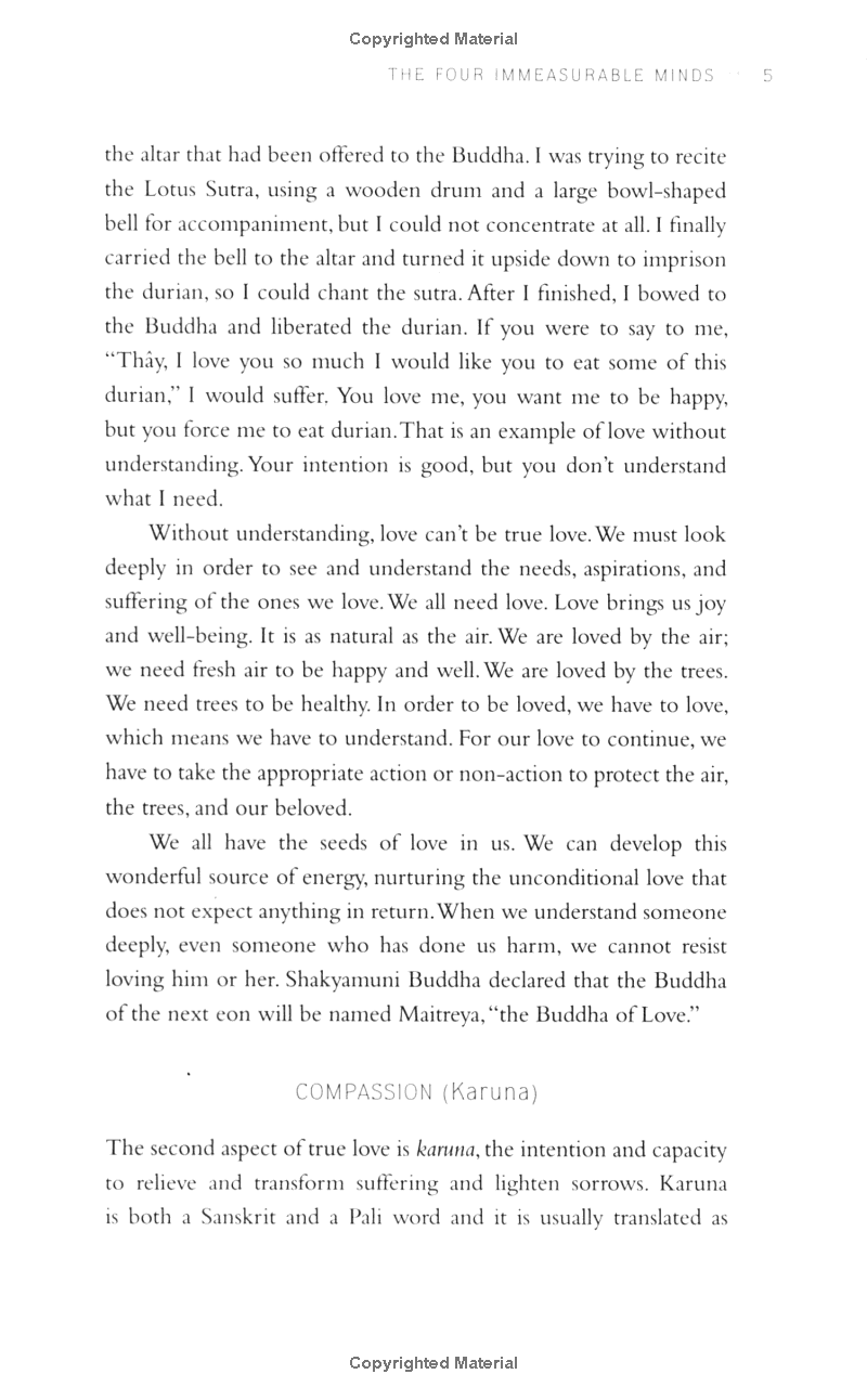 teachings on love - Ảnh 16