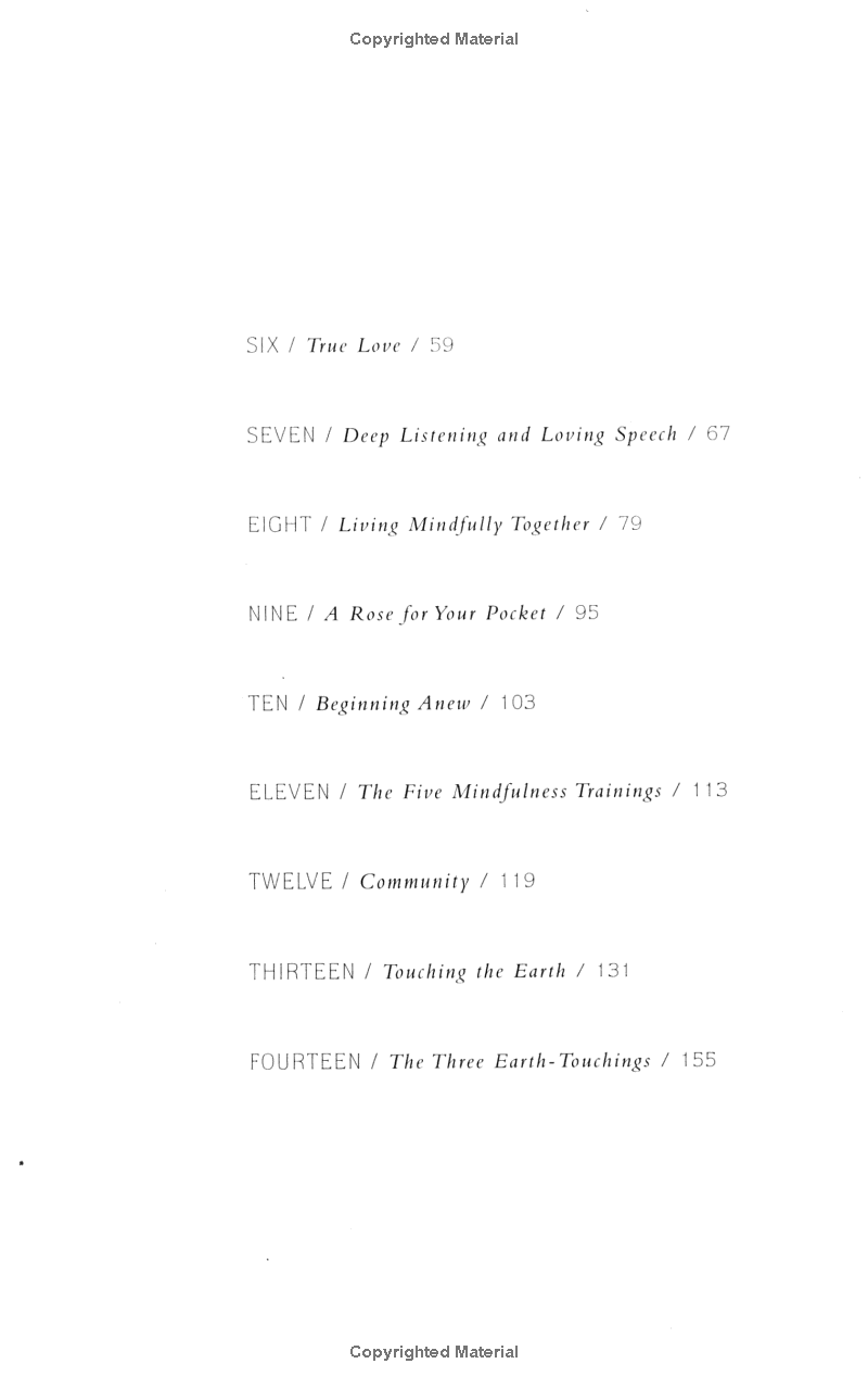 teachings on love - Ảnh 8