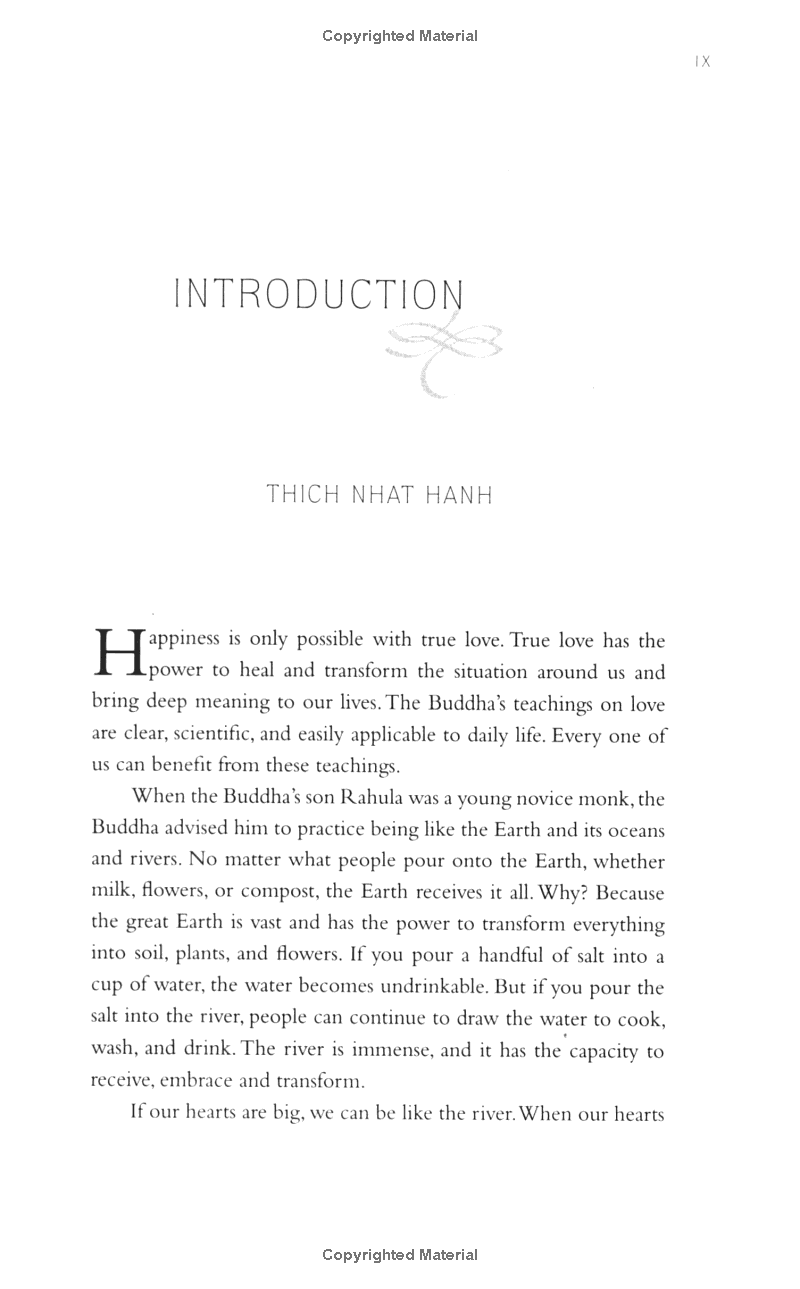 teachings on love - Ảnh 9