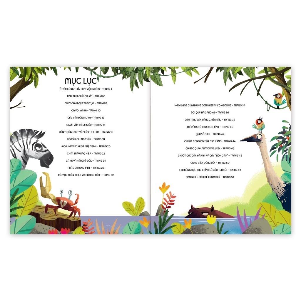 teamwork làm việc nhóm - bài học từ vương quốc động vật - Ảnh 3