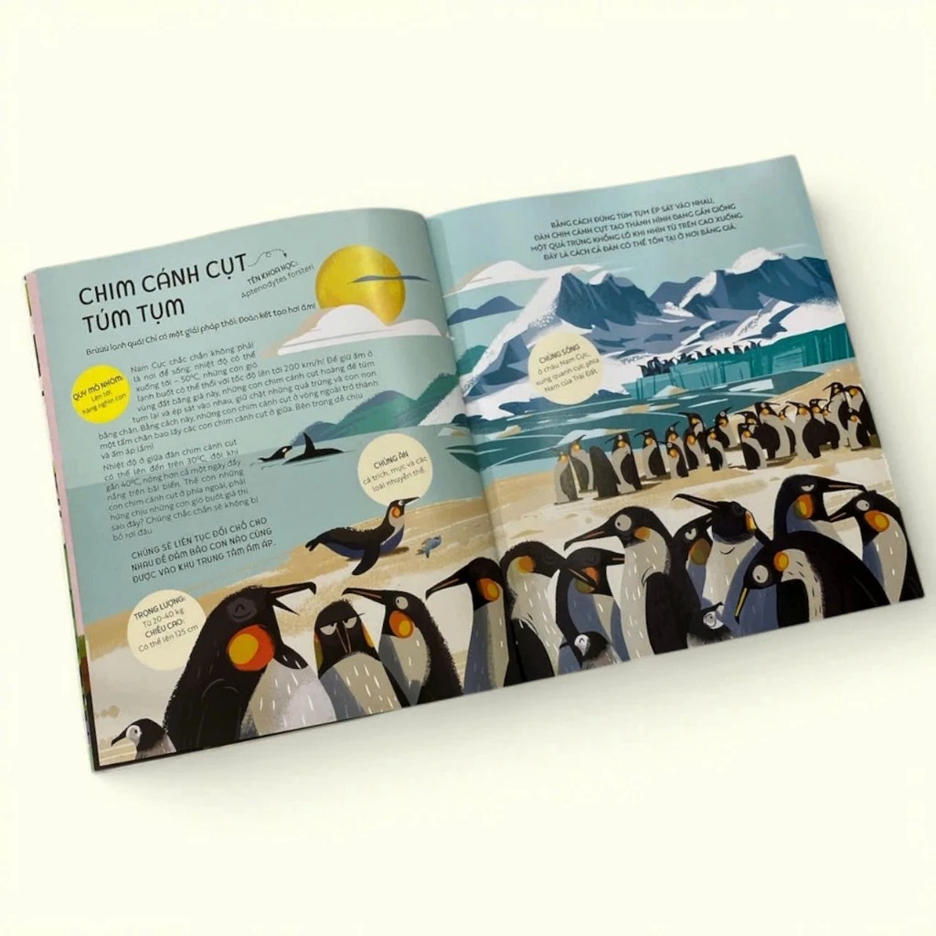 teamwork làm việc nhóm - bài học từ vương quốc động vật - Ảnh 6