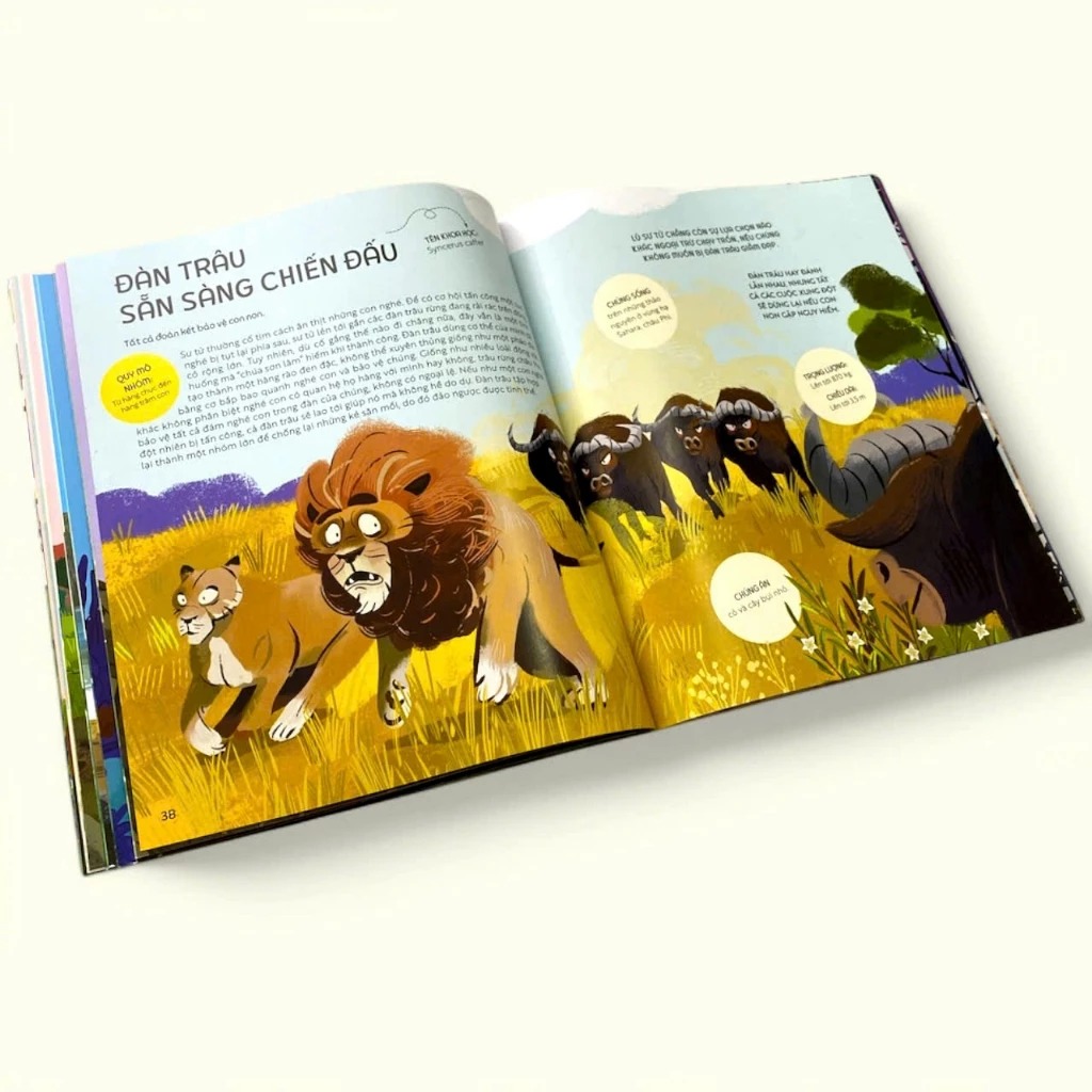 teamwork làm việc nhóm - bài học từ vương quốc động vật - Ảnh 8