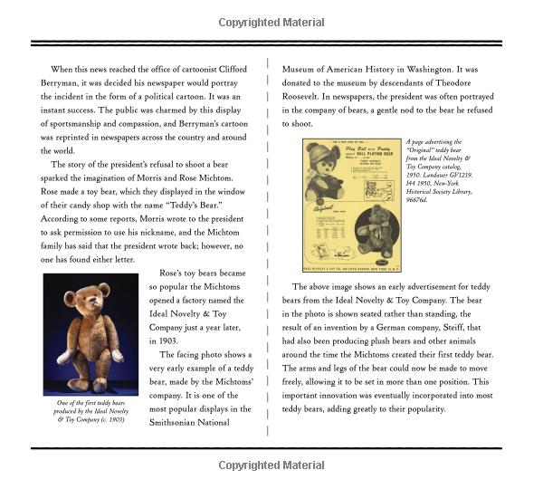 teddy: the remarkable tale of a president, a cartoonist, a toymaker and a bear - Ảnh 11