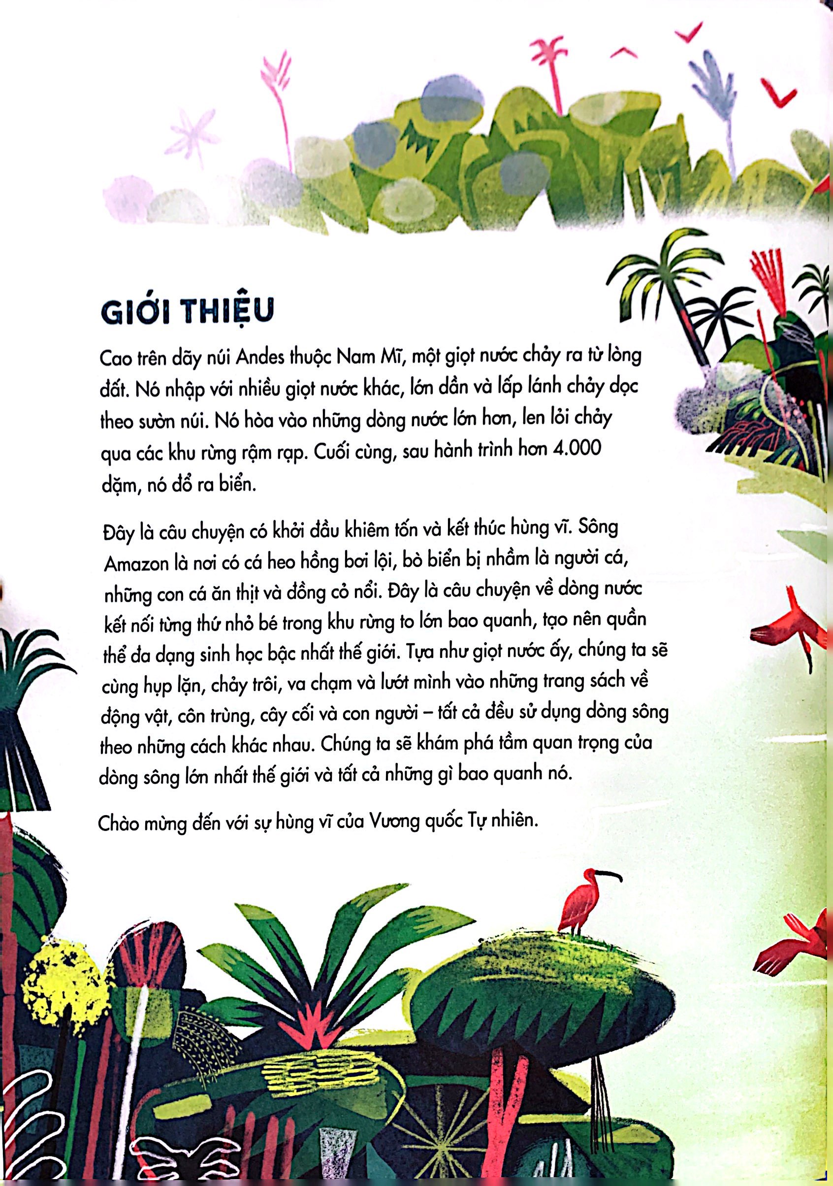 thám hiểm amazon - Ảnh 5