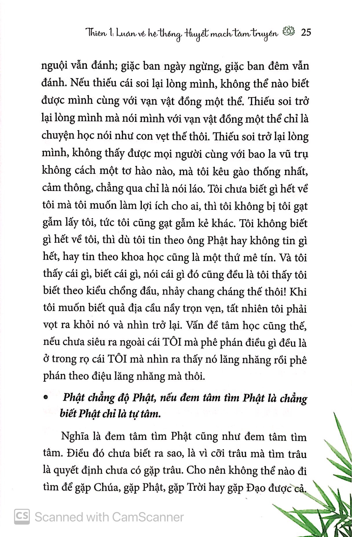 tham thiền - Ảnh 10