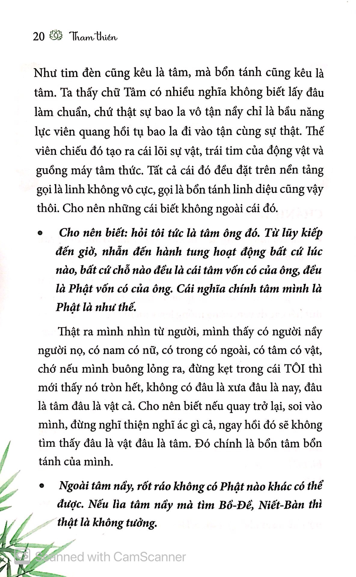 tham thiền - Ảnh 5