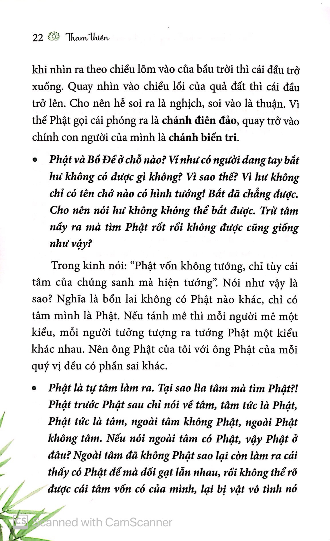 tham thiền - Ảnh 7