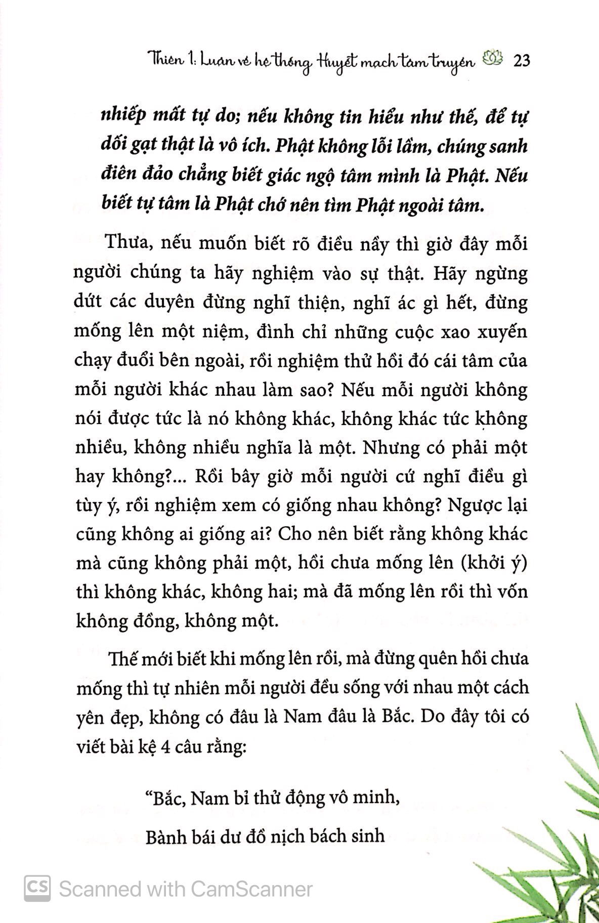 tham thiền - Ảnh 8