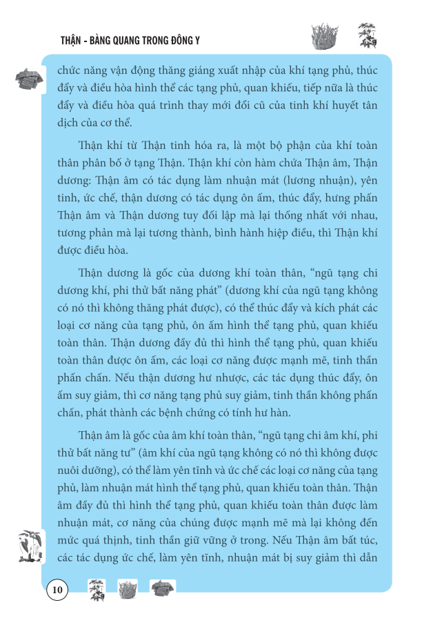 thận bàng quang trong đông y - Ảnh 12