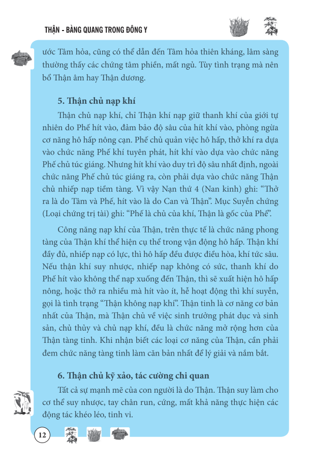 thận bàng quang trong đông y - Ảnh 14