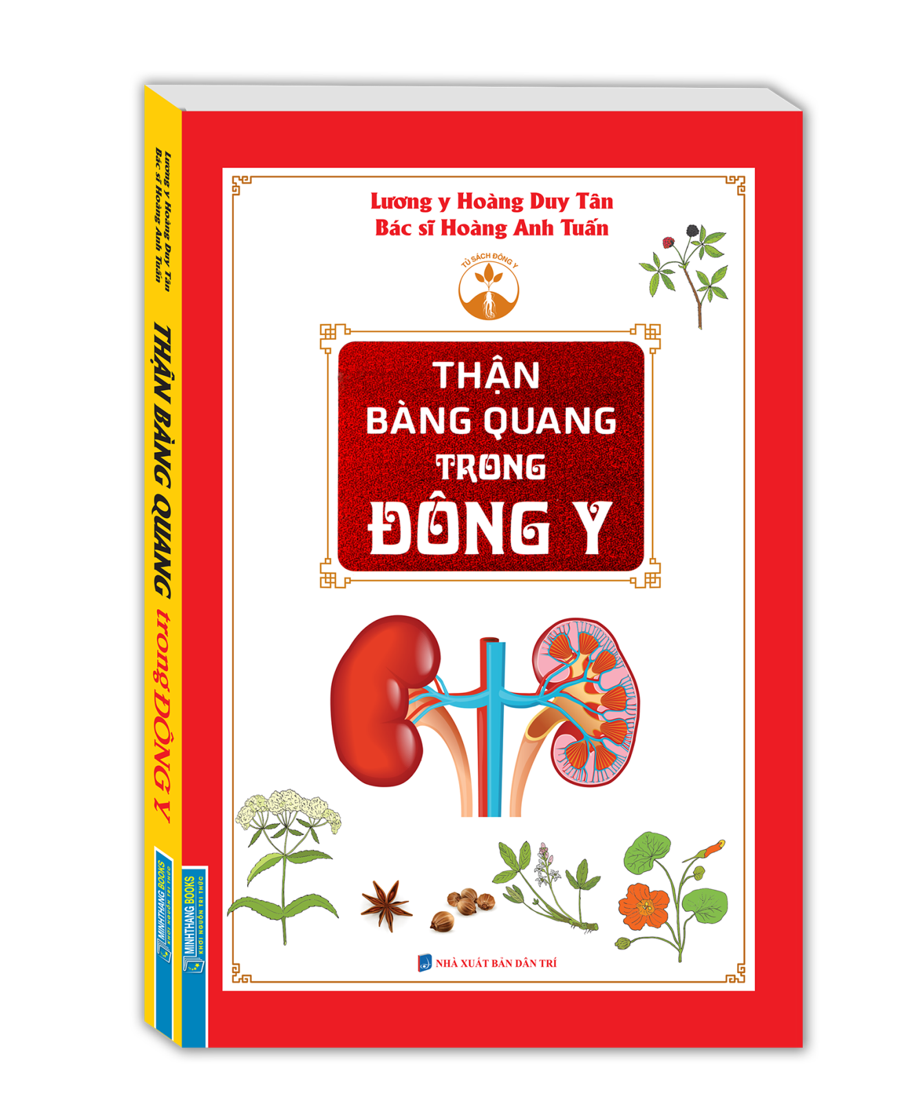 thận bàng quang trong đông y - Ảnh 2