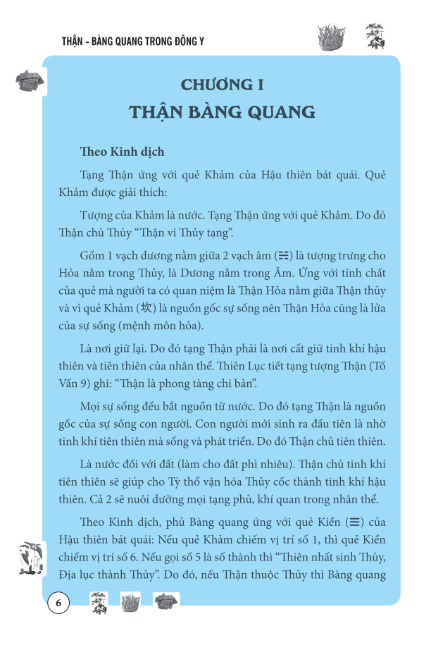 thận bàng quang trong đông y - Ảnh 7