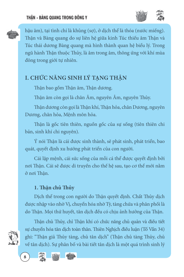 thận bàng quang trong đông y - Ảnh 9