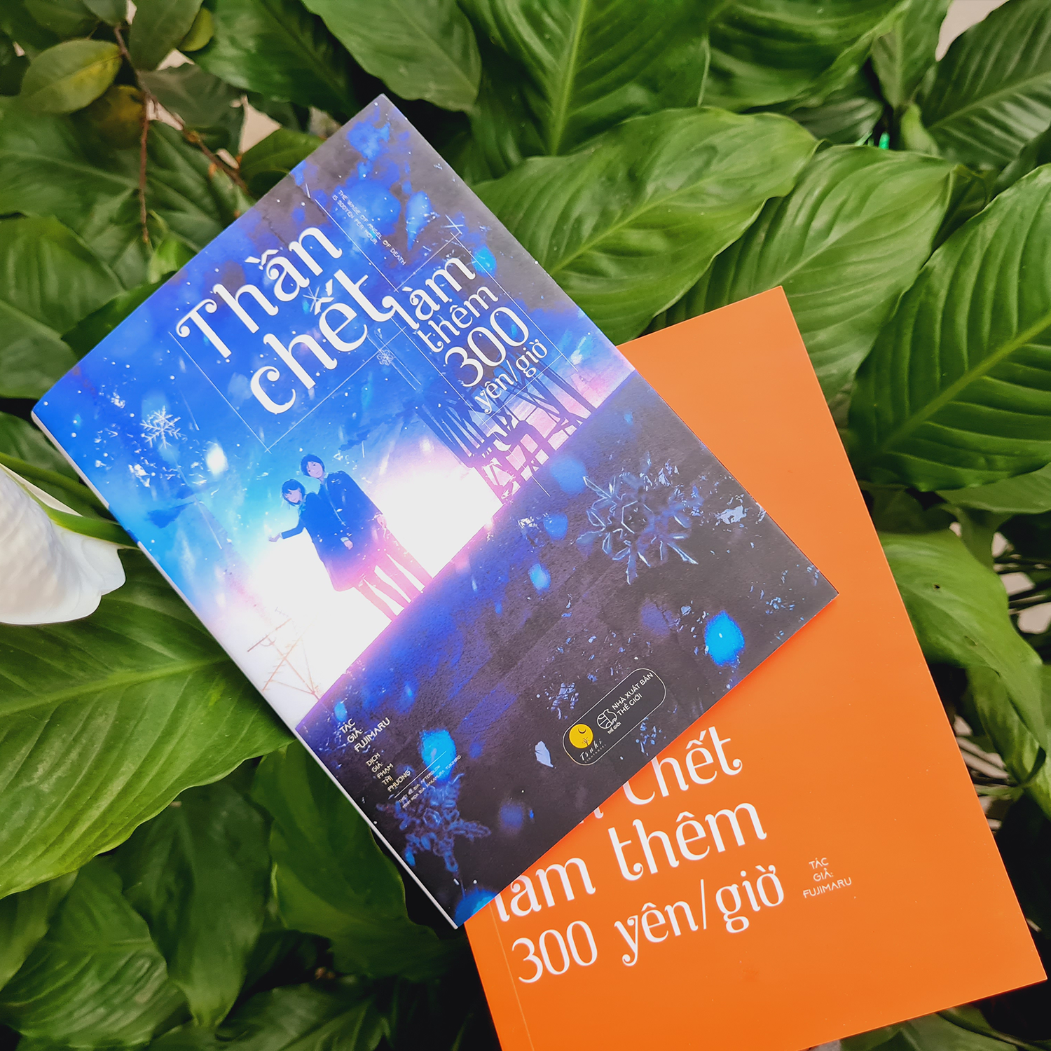 thần chết làm thêm 300 yên/giờ (tái bản 2023) - Ảnh 5