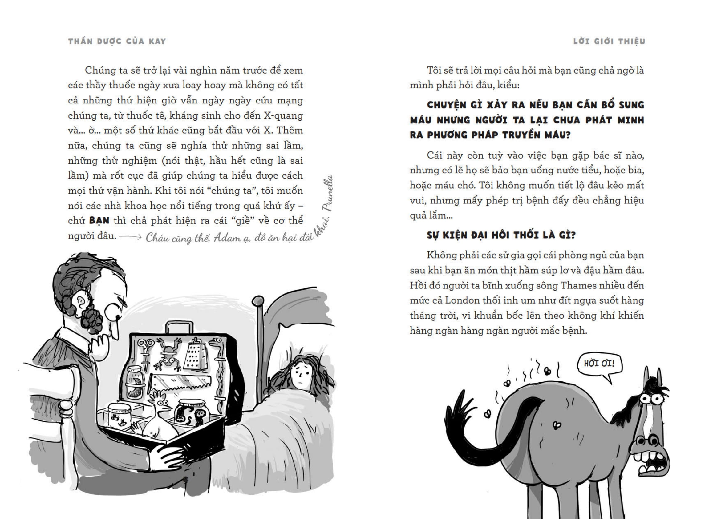 Thần Dược Của Kay - Một Lịch Sử Bổ Ích Khủng Khiếp Về Cơ Thể Người - Ảnh 7