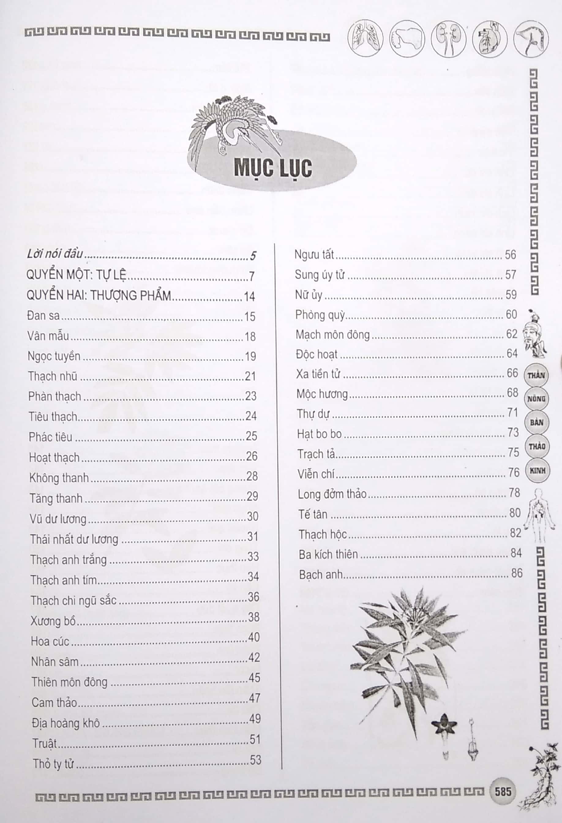 thần nông bản thảo kinh - Ảnh 3