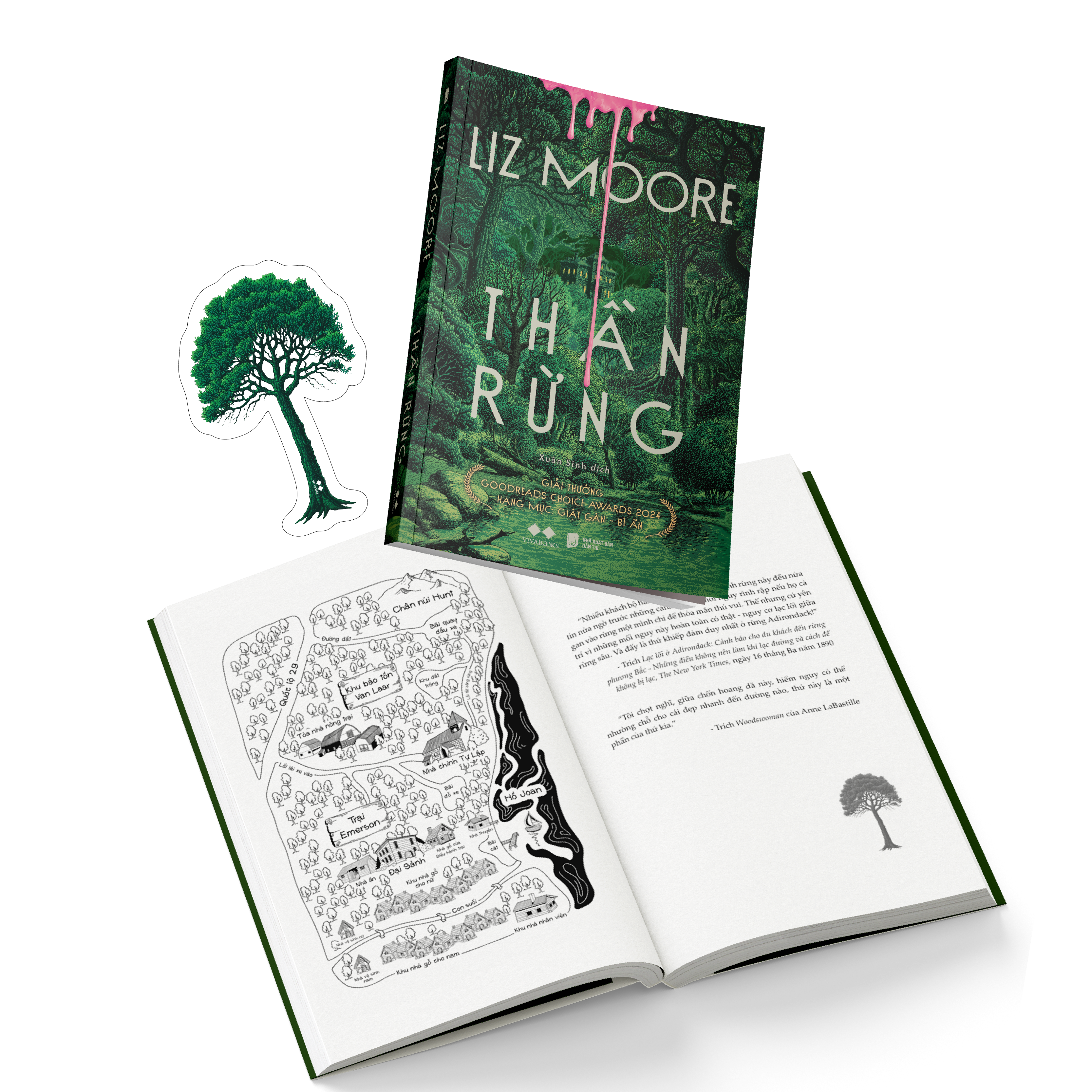 thần rừng - Ảnh 4