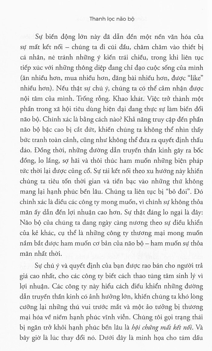 thanh lọc não bộ - Ảnh 5