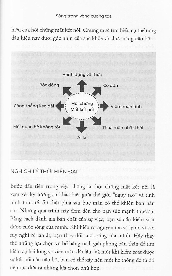 thanh lọc não bộ - Ảnh 6